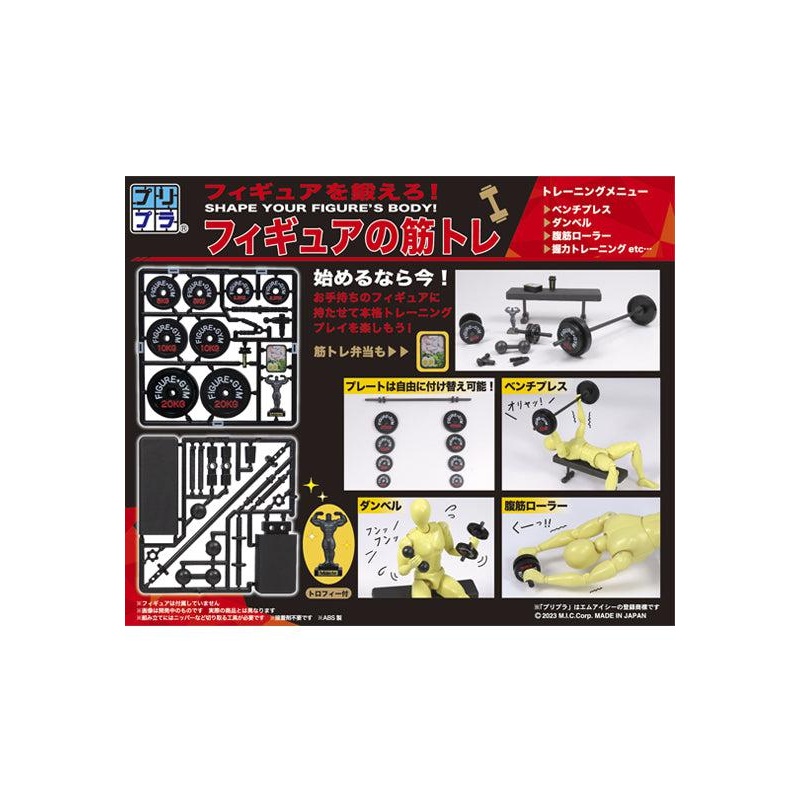 MIC Pripra Figure of Strength Training